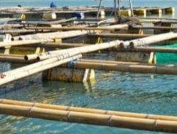 Asep Noordin Minta Pemerintah Pusat Cabut Izin KJA di Pantai Timur Pangandaran