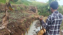 Pekerjaan Proyek Irigasi BBWS di Desa Datar Gunakan Material Tidak Sesuai Spesifikasi, Diduga Hasil Tambang Ilegal, Pidana Menunggu