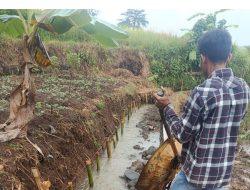 Pekerjaan Proyek Irigasi BBWS di Desa Datar Gunakan Material Tidak Sesuai Spesifikasi, Diduga Hasil Tambang Ilegal, Pidana Menunggu