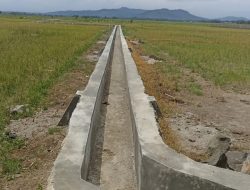Petani Desa Sukanagara Berterima Kasih Atas Dibangunnya Saluran Irigasi Oleh BBWS Citanduy 