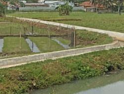 Proyek Rehabilitasi Jaringan Irigasi di Desa Sukanagara Berjalan Lancar, Warga sangat Berterima Kasih