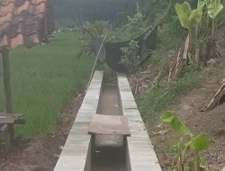 Petani Dusun Cimanggu, Desa Cisaga, Berterima Kasih Atas Dibangunnya Saluran Irigasi Oleh BBWS Citanduy 