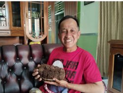 Kelompok Tani Linggajaya Hasilkan Tembakau Berkualitas, Harapkan Pasar Terbuka Luas dan Bantuan Pupuk Untuk Tingkatkan Produksi