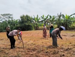 Polres Kota Banjar Mendampingi Warga Dusun Bantardawa Menanam Jagung Untuk Ketahanan Pangan