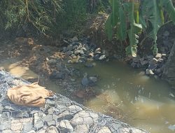 BBWS Citanduy Pasang Bronjong di Desa Cisuru untuk Cegah Longsor