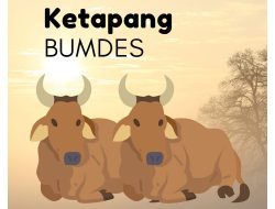 Ini Kata Auditor Inspektorat Kabupaten Kuningan Jika Bumdes Merugi atau Bangkrut