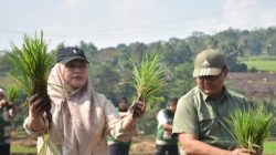Diskatan Kuningan Gelar Gerakan Tanam Serempak, Wabup Tuti: Setiap Benih Yang Ditanam Adalah Harapan Masa Depan Bangsa