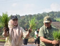 Diskatan Kuningan Gelar Gerakan Tanam Serempak, Wabup Tuti: Setiap Benih Yang Ditanam Adalah Harapan Masa Depan Bangsa