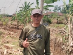Poktan Srimukti Desa Cantilan Upayakan Pekerjaan Program Oplah Dengan Maksimal, Frekuensi Penanaman Dapat Meningkat